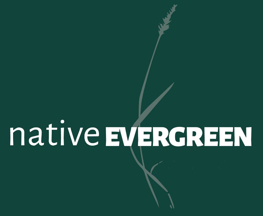 Native Evergreen Landscapes